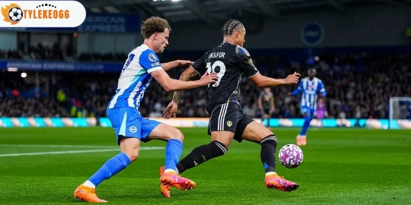 Góc nhìn về trận Brighton vs Leeds United