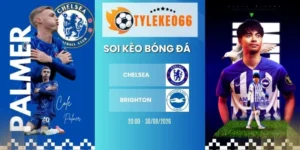 Soi kèo Chelsea vs Brighton - NHA, 30/8/2026